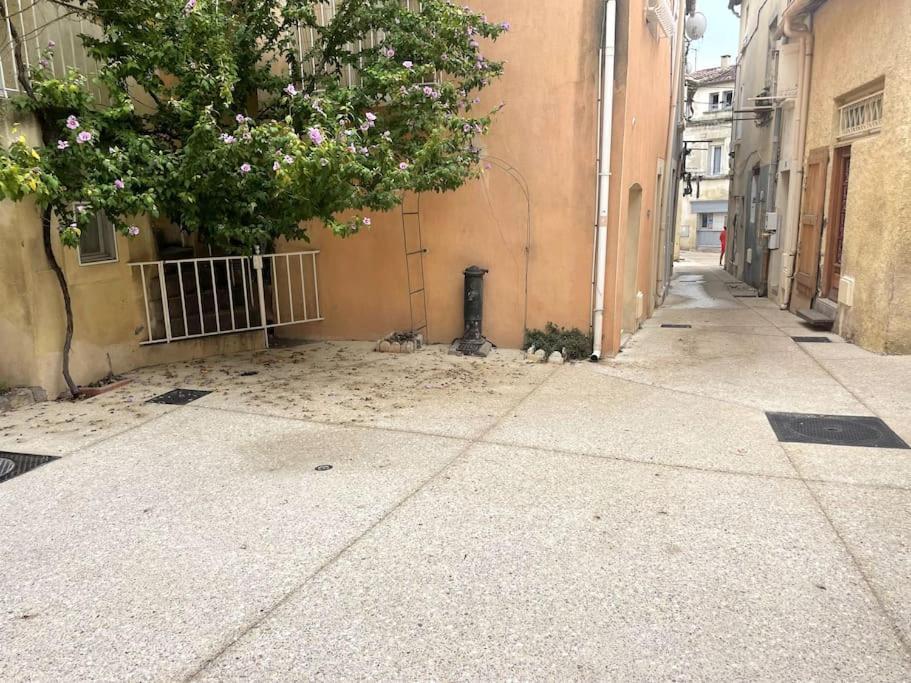 Appartement T1 Renove Gigean エクステリア 写真